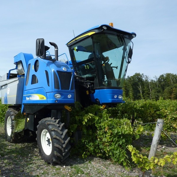Formation Vendangeuse automotrice